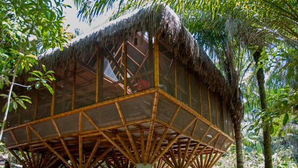 Bambu Çadır 