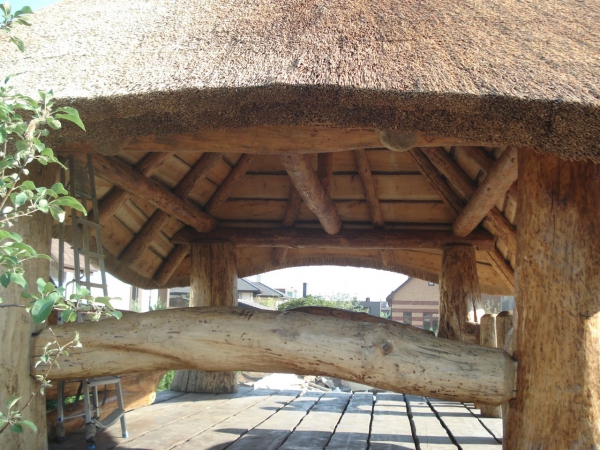 Saz Bambu  