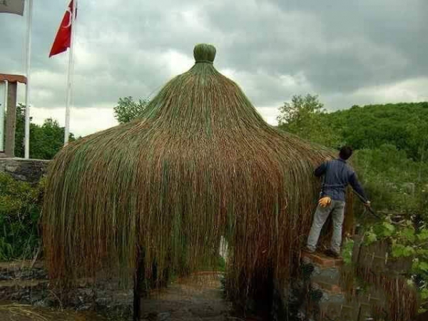 Bambu Çadır 