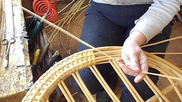 Bambu Bakımı 