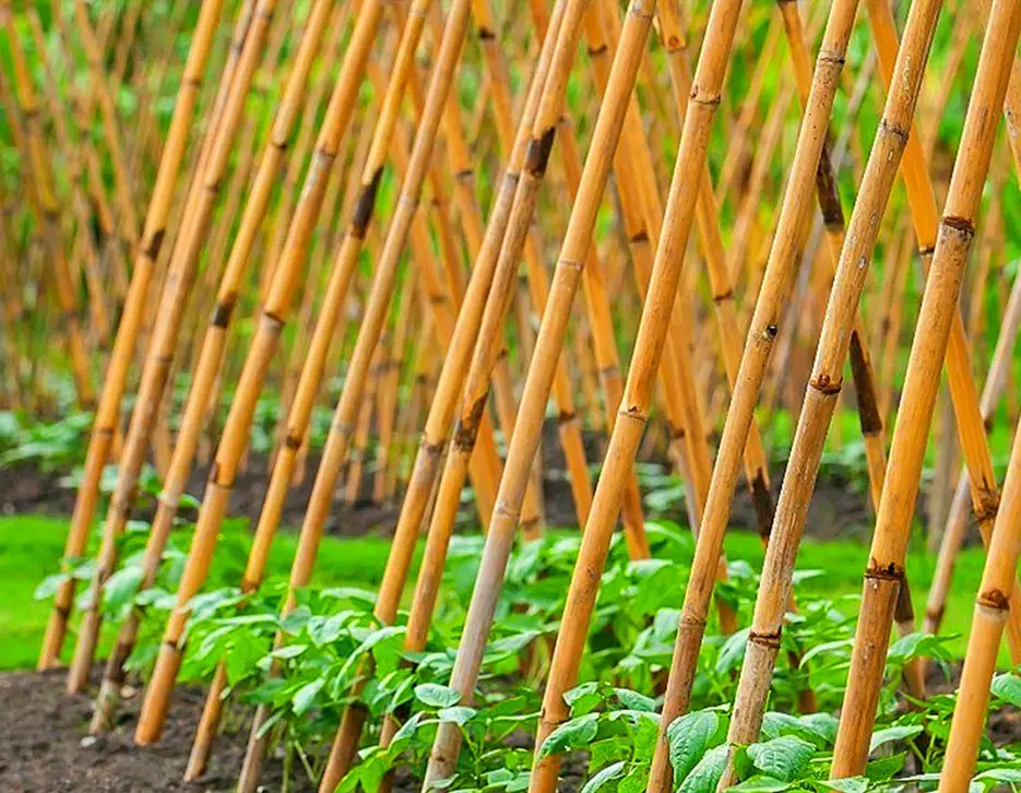 Bitki Destek Çubukları