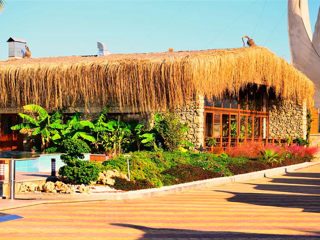 Hasır Çatı Kaplamalar