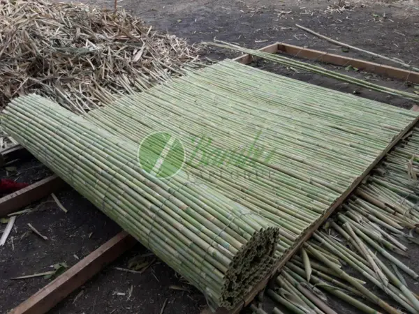 Rulo Bambu